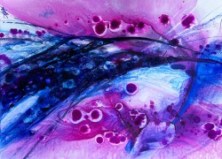 ColorscapeIIIFASO