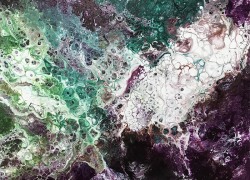GreenIncursionFAS