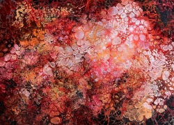 Harbinger.FAS_