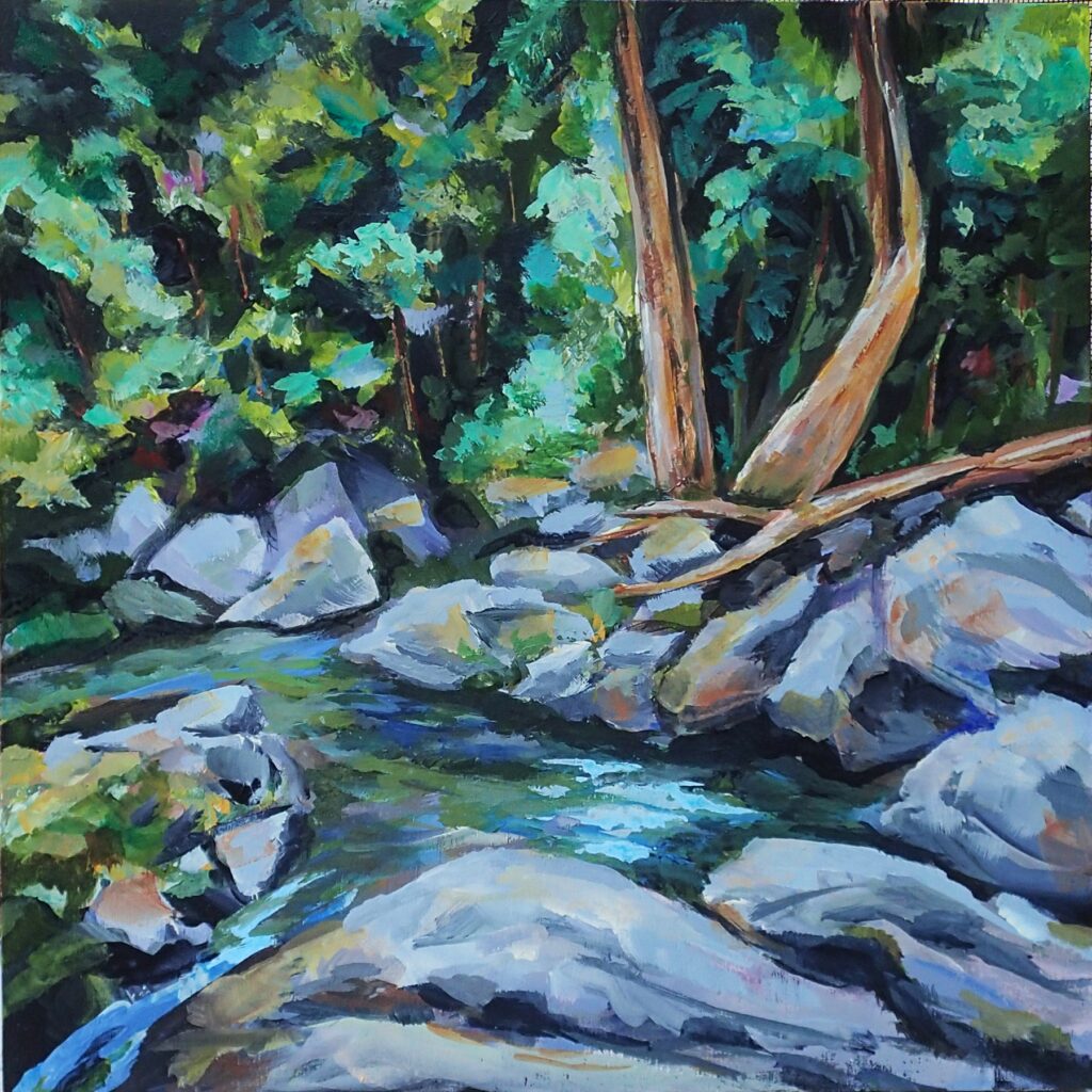 Bocawina Falls