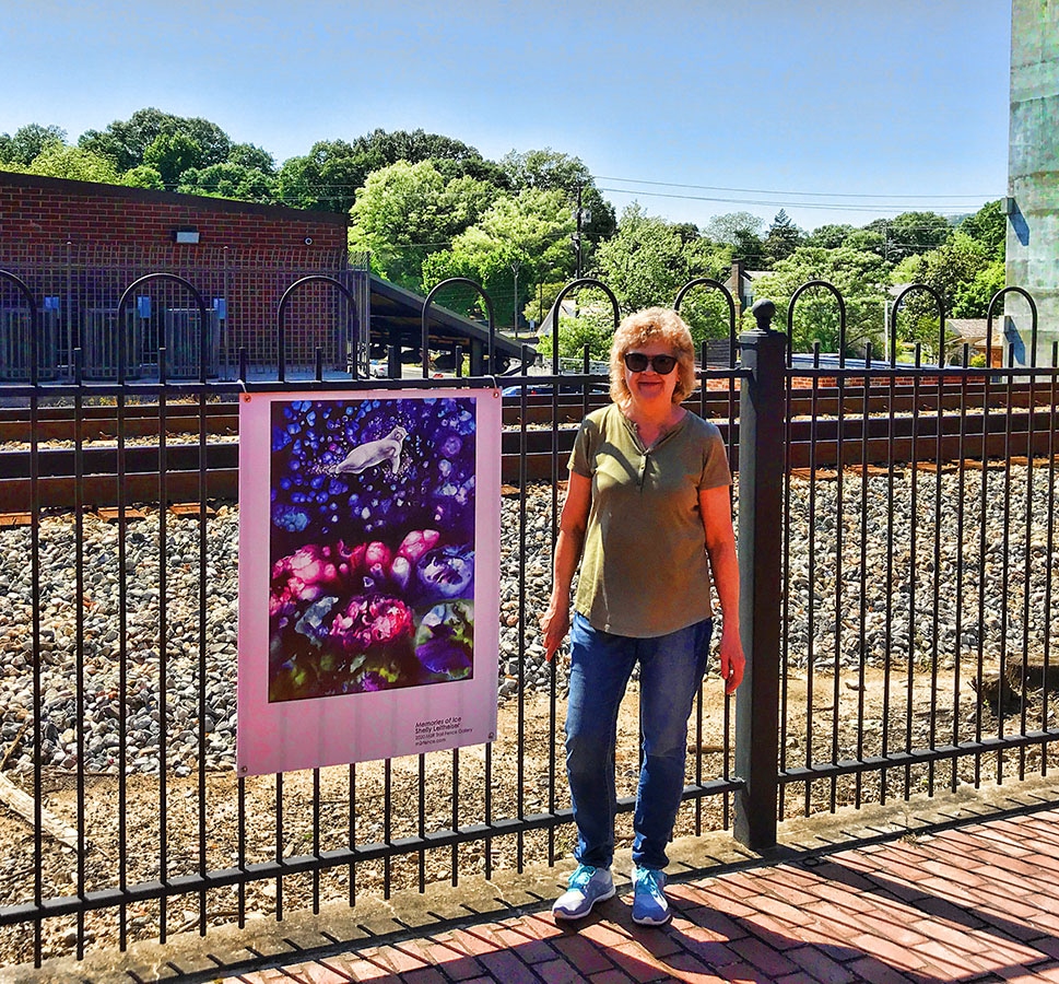 Marietta Fence Gallery – M2R Trailfest